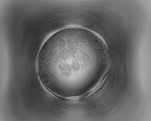 X0000115631295200911171328