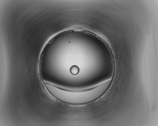 X0000115631296200911171328