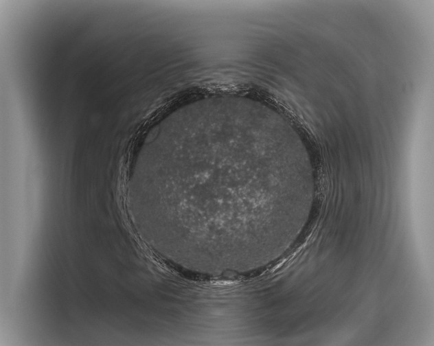 X0000115631297200911171328