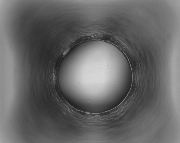 X0000115631298200911171328