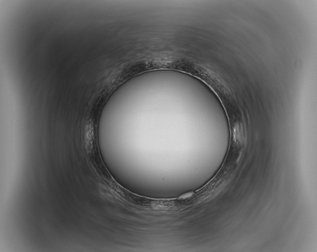 X0000115631299200911171328