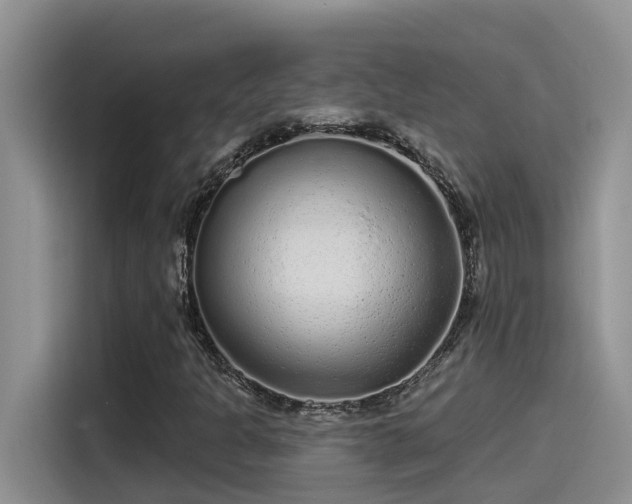 X0000115631301200911171328