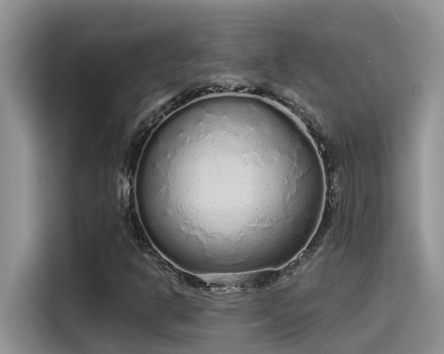 X0000115631302200911171328
