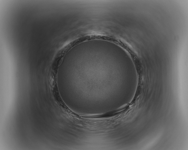 X0000115631303200911171328