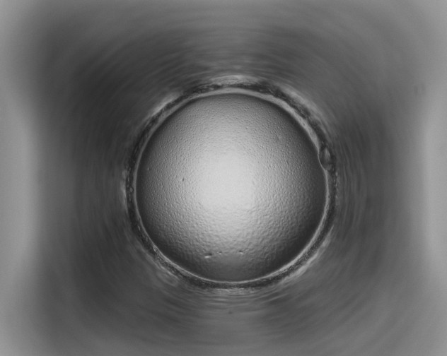 X0000115631305200911171328