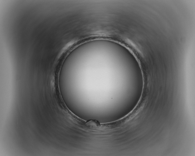 X0000115631307200911171328
