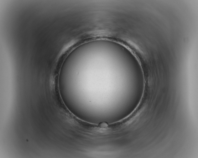 X0000115631309200911171328