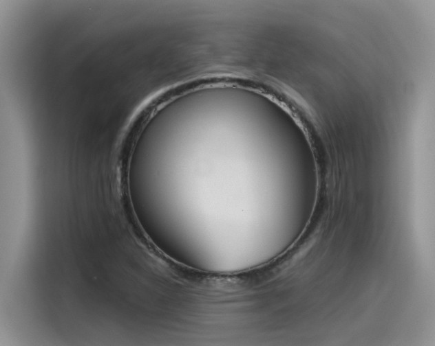 X0000115631310200911171328