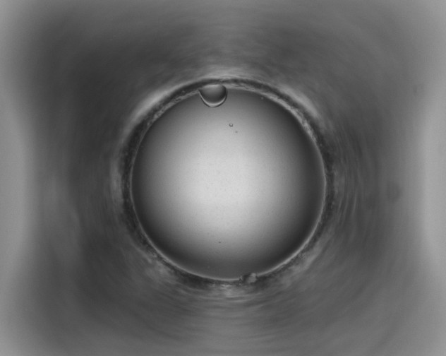 X0000115631311200911171328