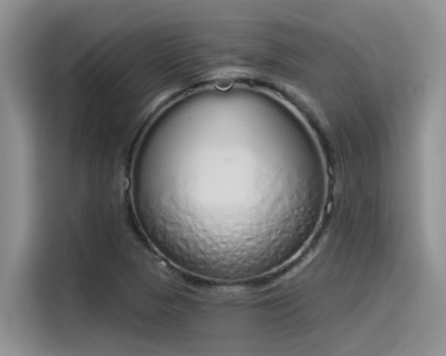 X0000115631313200911171328