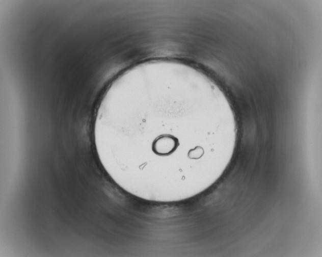 X0000115631314200911171328