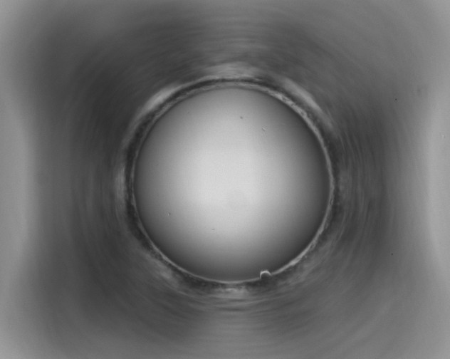 X0000115631315200911171328