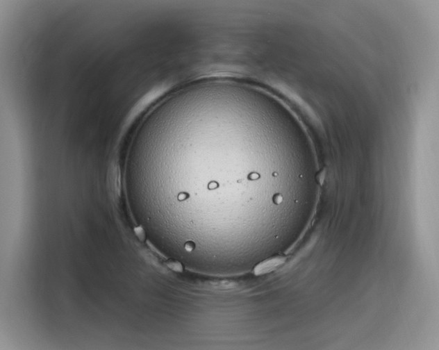 X0000115631317200911171328