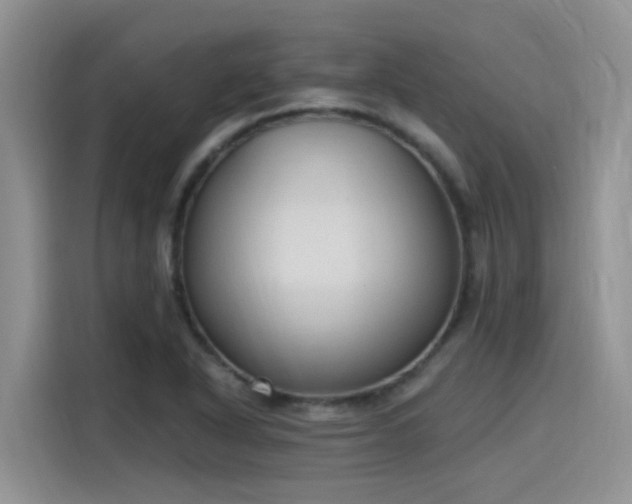 X0000115631318200911171328