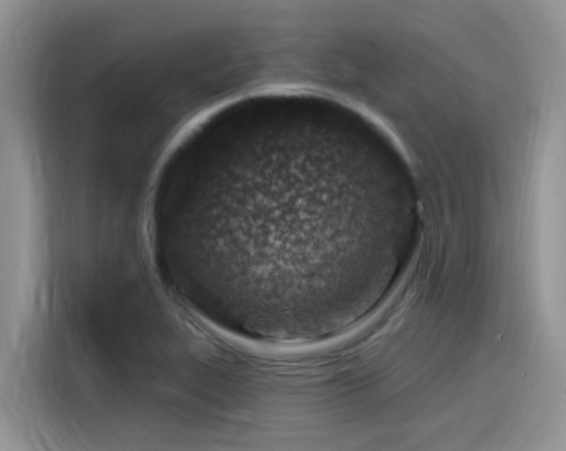 X0000115631319200911171328
