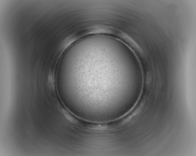 X0000115631321200911171328