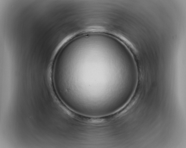 X0000115631325200911171328