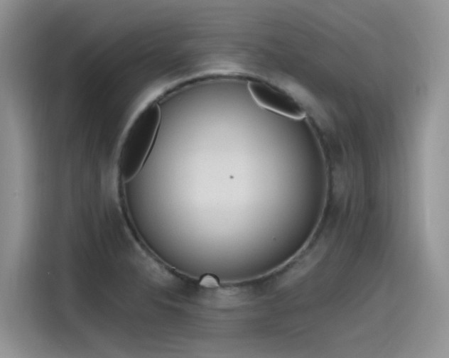 X0000115631326200911171328