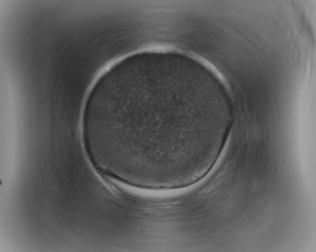 X0000115631327200911171328