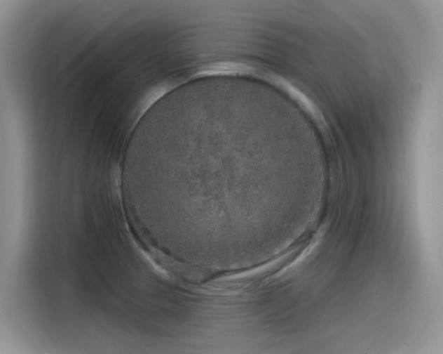 X0000115631329200911171328