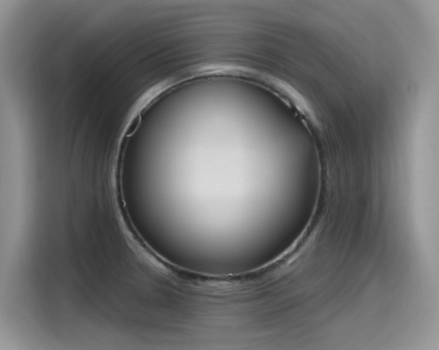 X0000115631330200911171328