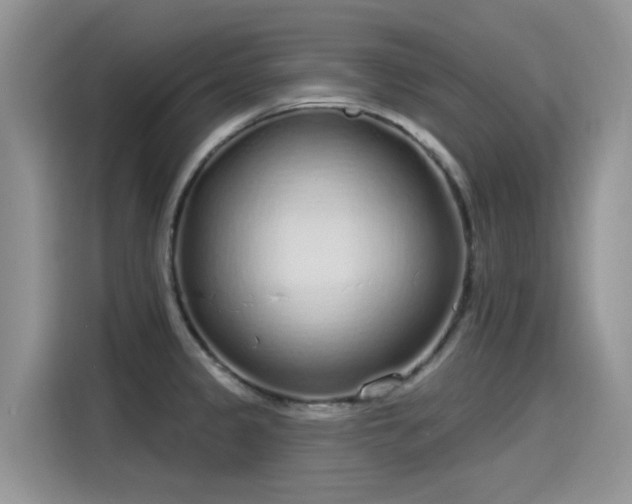 X0000115631333200911171328
