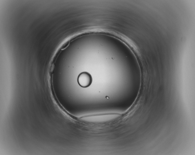 X0000115631334200911171328