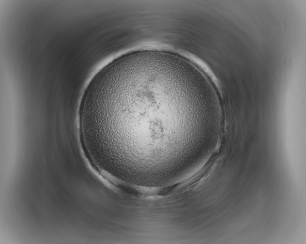 X0000115631335200911171328