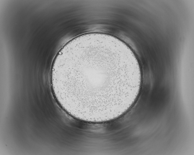 X0000115631338200911171328