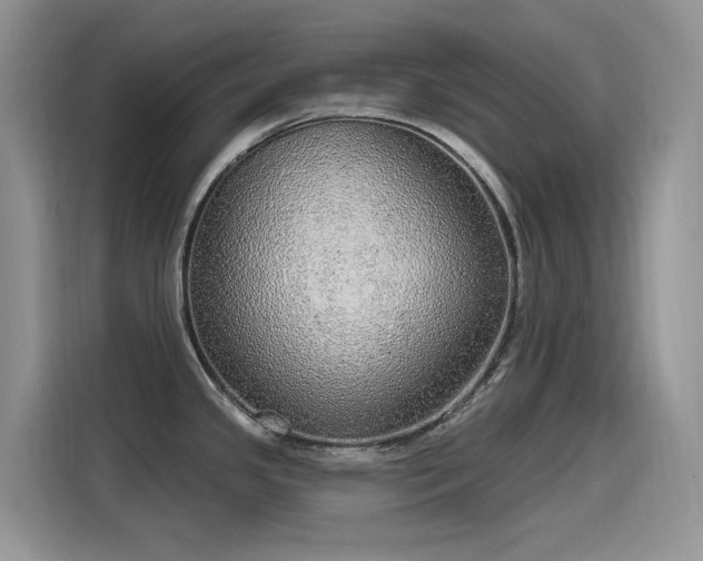 X0000115631341200911171328