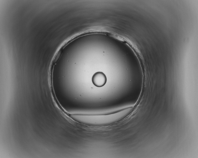 X0000115631342200911171328