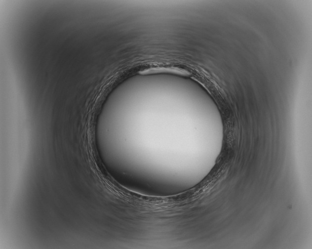 X0000115631345200911171328
