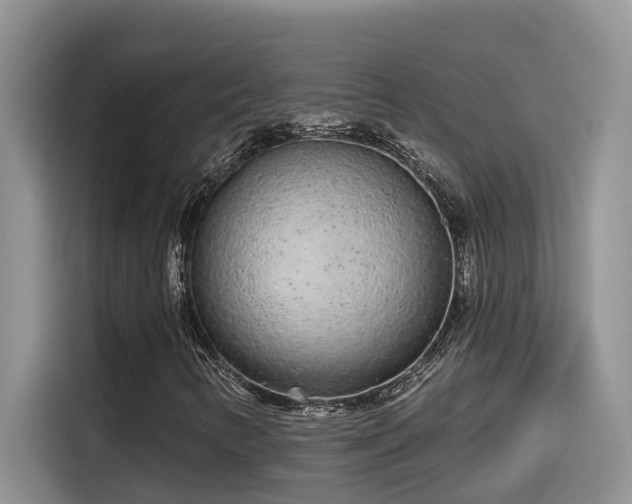 X0000115631346200911171328