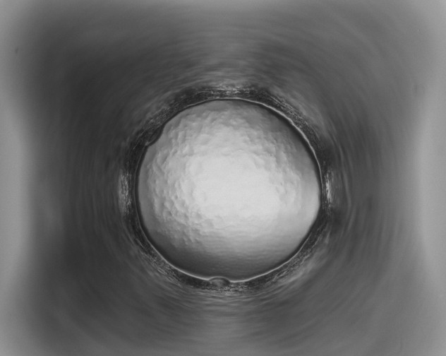 X0000115631347200911171328