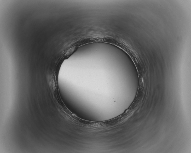 X0000115631348200911171328
