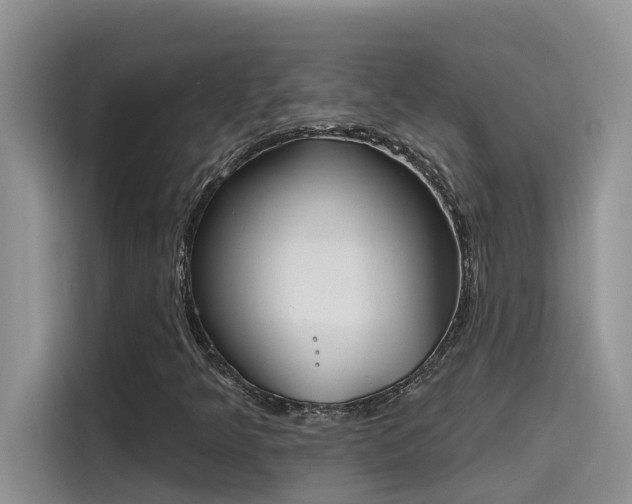 X0000115631349200911171327