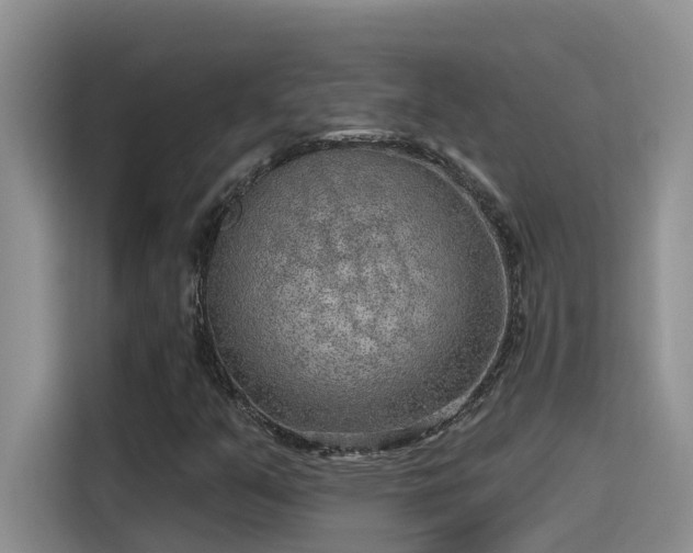X0000115631351200911171327