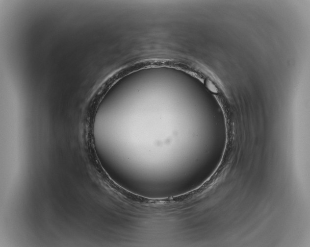X0000115631352200911171327