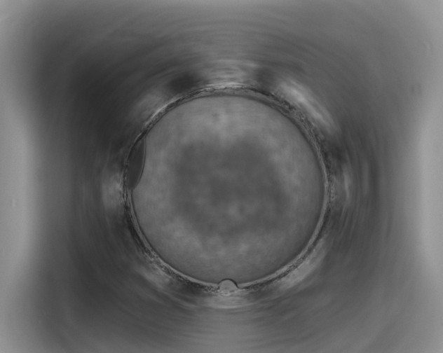 X0000115631353200911171327