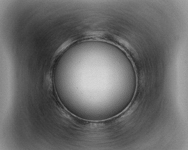 X0000115631354200911171327