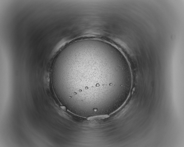 X0000115631355200911171327