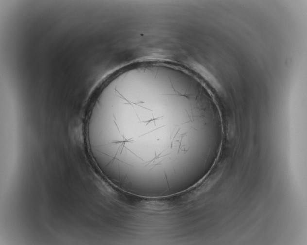 X0000115631356200911171327