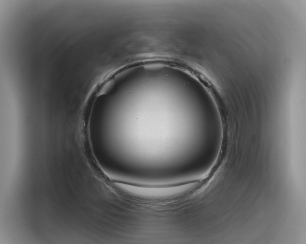 X0000115631357200911171327