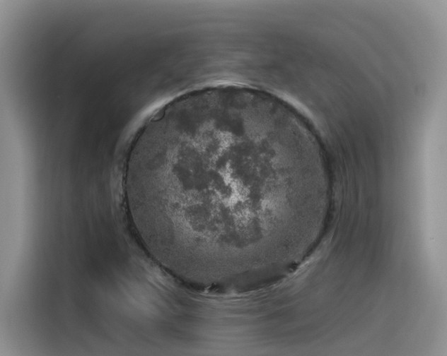 X0000115631359200911171327
