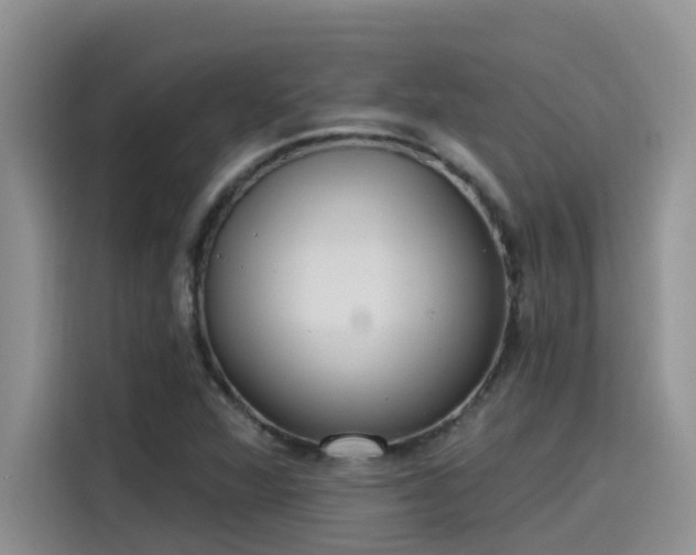 X0000115631360200911171327