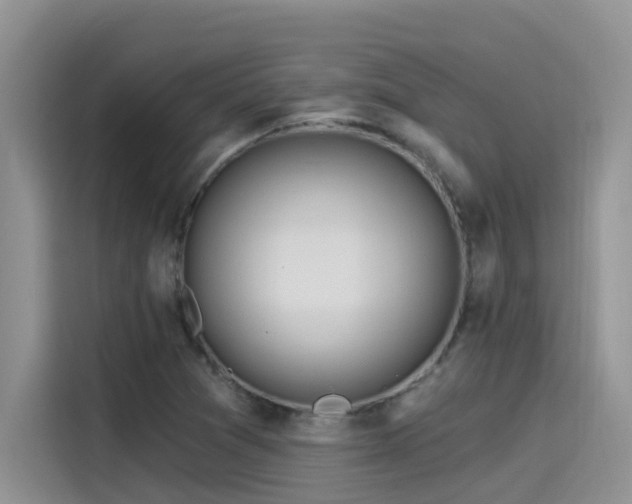 X0000115631361200911171327