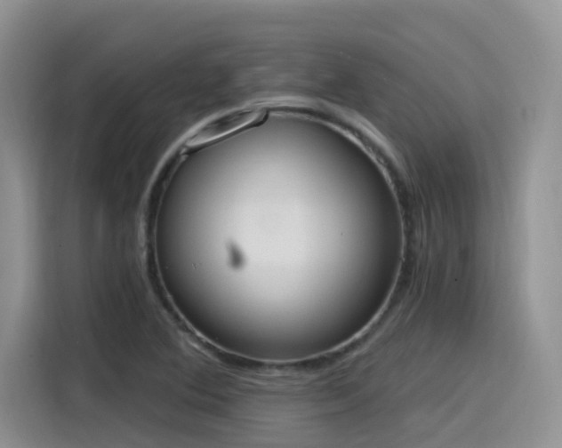 X0000115631364200911171327
