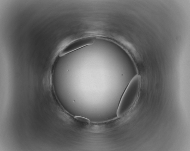 X0000115631365200911171327