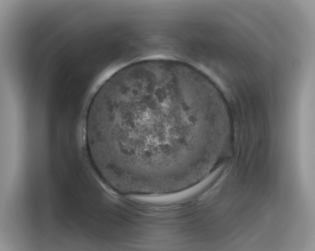 X0000115631367200911171327