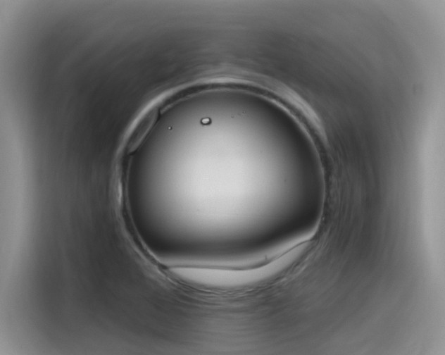 X0000115631368200911171327